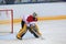 Woman goalkeeper plays hockey sport female