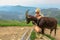 Woman with goat on Monte Generoso