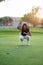 Woman golfer check line for putting golf ball on green