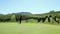 woman golfer hits a white golf ball with a golf club in beuatiful landscape