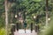 Woman in green dress on balcony with amazing jungle view from cliff in Ubud Bali