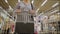 A woman with a grocery cart goes shopping between the shelves with products