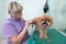 Woman groomer makes trimming Brussels Griffon