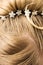 Woman hair with hair-pins