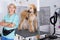 Woman hairdresser posing with Afghan puppy Shepherd in beauty sa