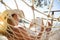 Woman in a hammock with book on holiday