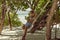 Woman in hammock relaxing in shadow on the beach.