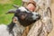 A woman hand caring a goat face; save animals