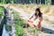 Woman hand collecting garbage of the grass in the countryside