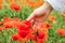 woman hand gentle touching poppy flower