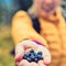 Woman hand giving blueberries autumn forest