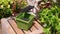 Woman Hand in Glove Putting Soil in Green Flower Pot with Iron Trowel at Garden