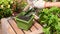 Woman Hand in Glove Putting Soil in Green Flower Pot with Iron Trowel at Garden