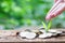 Woman hand hand watering a plant of growth to profit finance.