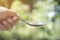 Woman hand hold metal spoon of pile full Thai coins with bokeh tree background