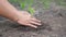 Woman hand hold planting growing a tree in soil on the garden