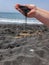 Woman hand holding black sand on the volcanic black sand beach