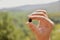 Woman hand holding blackberry, hand holding single blackberry fruit in nature