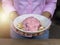 Woman hand holding bowl with delicious yogurt strawberry oat banana guava, close up