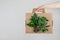 Woman hand holding cardbox from recyclable materials with green leaves.Responsible consumption, eco friendly packaging, zero waste