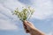 Woman hand holding chamomile flowers. Girl hand holding white flowers in front of the blue sky