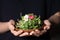 Woman hand holding clay plate full of fresh sunflower microgreens sprouts decorated with flowers