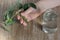 Woman hand holding cutting of Schefflera arboricola or dwarf umbrella tree named and water in bottle to put it into for rooting on