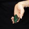 Woman hand holding exotic butterfly wing, sensual studio shot