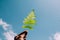 Woman hand holding fern leaves on the teal color of blue sky. people environment nature. Uprisen angle