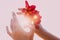 Woman hand holding frangipani flower at sunset on the beach close up