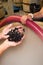 Woman hand holding fresh bunch of grapes in cellar in harvesting time