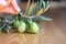 Woman hand holding green olives with leafs