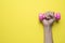 Woman hand holding pink dumbbell on yellow background