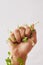 Woman hand, holding plants and fist for eco warrior, fight and revolution for sustainability protest. White background