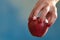 Woman Hand Holding Poisonous Red Apple