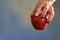 Woman Hand Holding Poisonous Red Apple