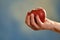 Woman Hand Holding Poisonous Red Apple.