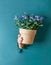 Woman hand holding potted purple blooming plant of forget-me-not flowers in terracotta pot at blue wall background. Gardening