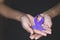 Woman Hand Holding Purple Ribbon, Domestic Violence Awareness Month October concept with deep purple awareness ribbon