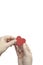 Woman Hand holding red heart  on white background, copy space, love,health,relationship romantic concept