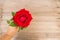 Woman hand holding red roses on wooden background.