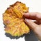 Woman hand holding a rusty autumn leaf