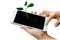 Woman hand holding smart phone with seedling growing up on screen.