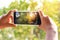 Woman hand holding smartphone taking photo picture of nature green tree and sunset bokeh background / mobile phone photography and