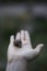 Woman hand holding a snail outdoors closeup shot