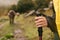 Woman hand holding trekking poles walking in alpine meadow with cows