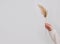 Woman hand holds the pampas grass. Reed Plume Stem, Dried Pampas Grass, Decorative Feather Flower Arrangement for Home, New Trendy