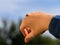 Woman hand with a ladybug crawling on it against blue sky background