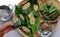 Woman hand making flat rice dumpling, stuffing from vegetable onto rice flour, vegan rice cake leaf from Hue