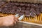Woman hand picking chocolate muffin by clamp at bakery